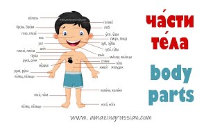 Basic Russian 4: Части тела. Body Parts. Vocabulary in Context