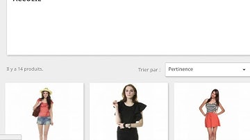 Lazy load module Prestashop