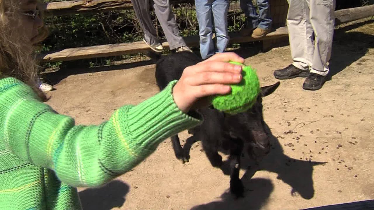 Tickets Cincinnati Zoo