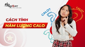 Bảng Tính Calo - Cách Tính Hàm Lượng Calo (Kcal) Cho Người Mới Tập Chạy Bộ