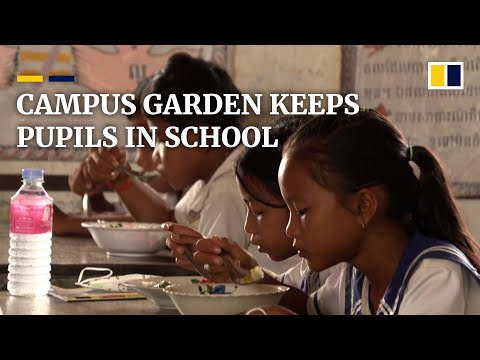 School gardens feed hungry children in cambodia, reducing dropout rates