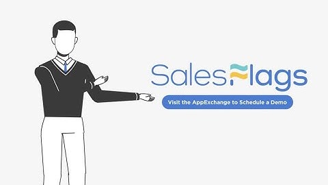 Salesflags - An Integration of Salesforce and LinkedIn (Explainer Video)