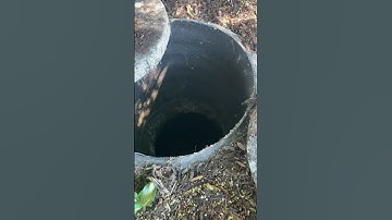 The Impact of Tree Roots on Septic System Health
