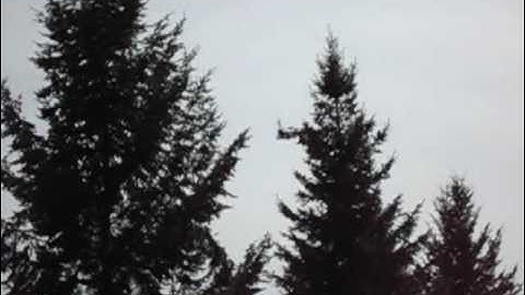 mcpx hp06v2 sr120 tail 3d test