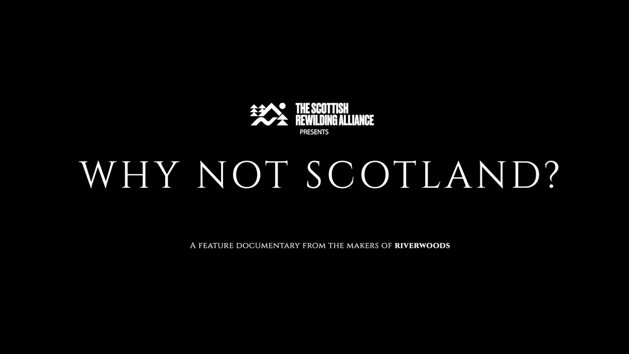 Why Not Scotland Teaser Trailer