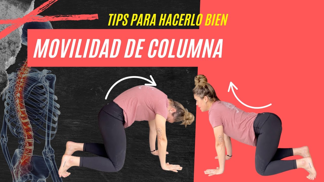 Cómo hacer correctamente la movilidad de columna // QIMOVEMENT - YouTube