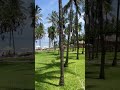 views for view #subscribe #viral #food #nature #fypシ゚viral #love