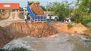 Incredible New Project Big Land Filling Up Technique Place With 5Tons Dump Truck&Bulldozer Pushing