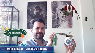 MIODESOPSIAS, MOSCAS VOLANTES, CUERPOS FLOTANTES - MI EXPERIENCIA