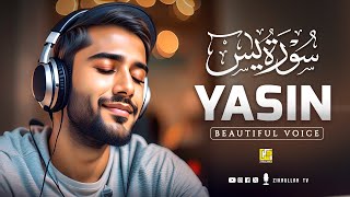 Relaxing Heart Touching Surah Yasin (Yaseen)  سورة يس | Spiritual Awakening | Zikrullah Tv