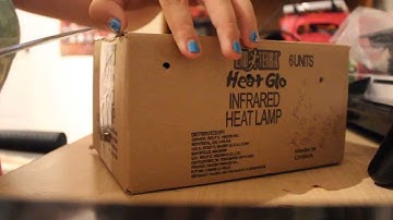 Unboxing My Carpet Python!