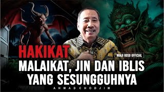 THE TRUE NATURE OF ANGELS, JINN, AND DEVILS!