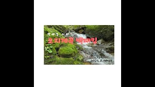 오지계곡 백패킹 #백패킹 #오지비박 #계곡백패킹 #풍천TV