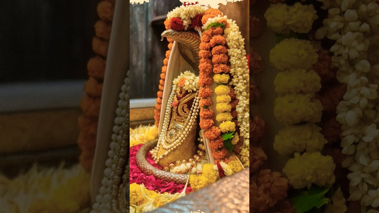  Jaihobholenathki Shiiv Bholenath Love