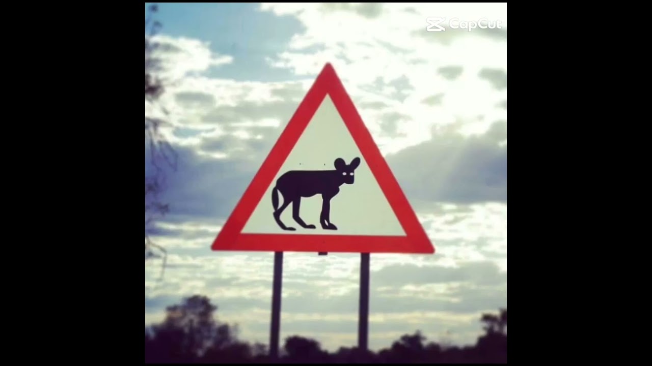 Señales raras de los DreamCore