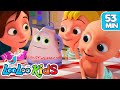 Polly Put the Kettle On - The BEST SONGS for Kids | LooLoo Kids