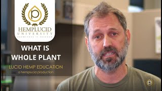 What is Full Spectrum CBD Oil or Whole Plant CBD Oil?