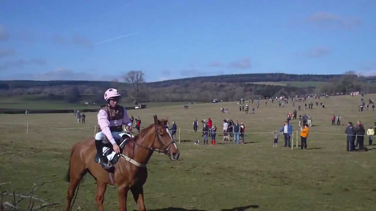 Naughty Horse 1 Horse takes his jockey through the wings Howick point