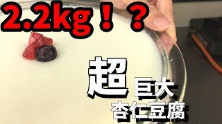 超巨大簡単杏仁豆腐の作り方！混ぜるだけ！【気になる新常識】