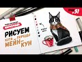 Как нарисовать кота породы мейн-кун? / Видео-урок по рисованию маркерами для новичков #51