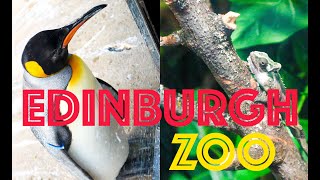 EDINBURGH ZOO VLOG 2017 | VEE'S VOYAGES
