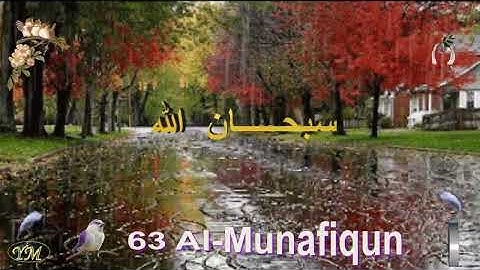 63 Al Munafiqun سورة المنافقون الشيخ مشاري راشد العفاسي