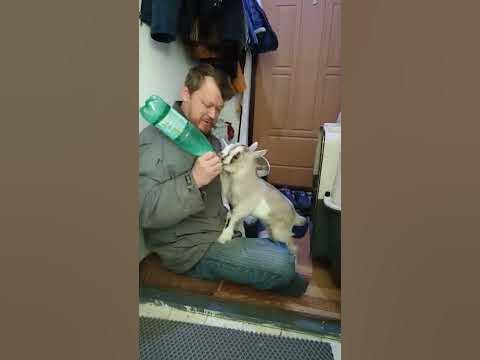 Рекет - YouTube