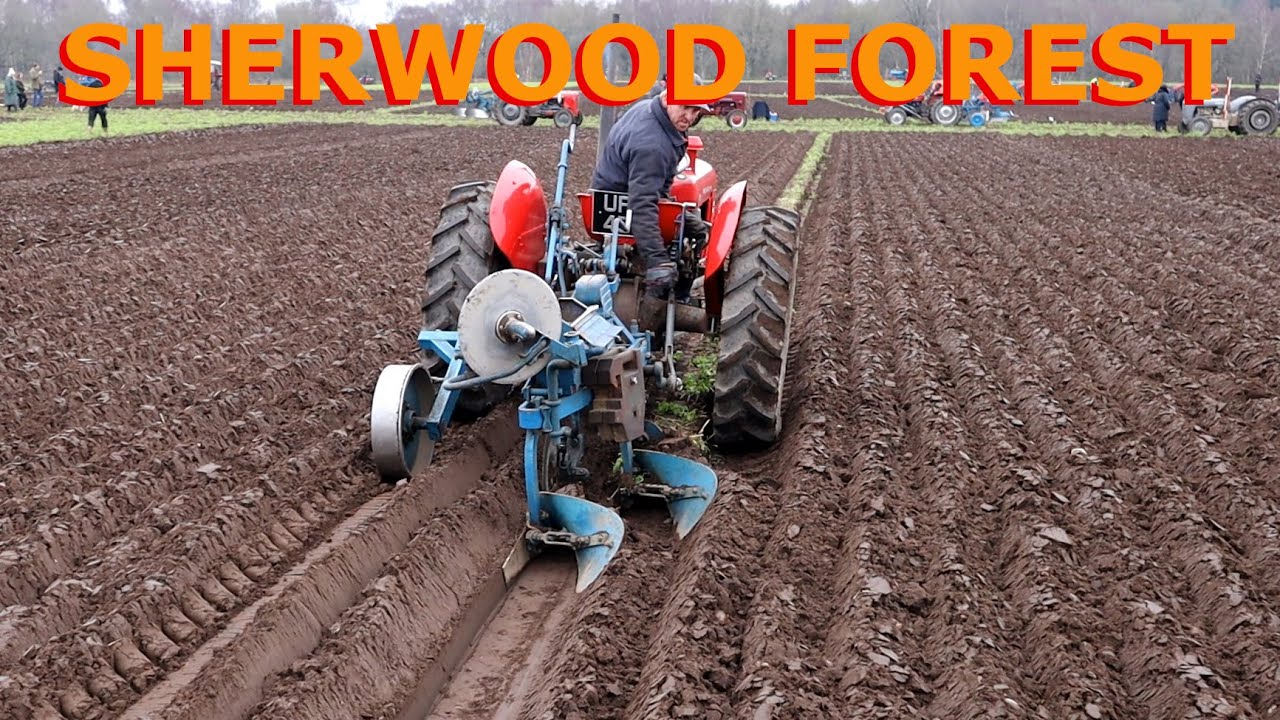 Sherwood Forrest Ploughing Match