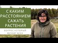 Какое расстояние должно быть между растениями? Наталья Самойленко делится своим опытом.