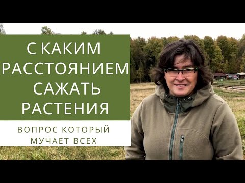 Видео: Информация о расстоянии между цветами – сколько места необходимо между цветами