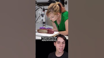 The Stolen Mismatched Ruby Slippers