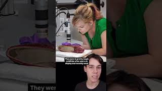 The Stolen Mismatched Ruby Slippers