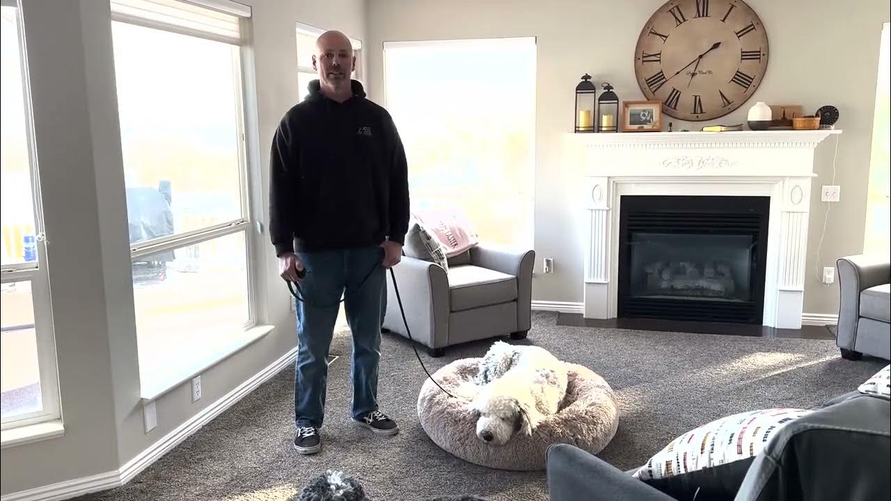 Dog Training Ogden Tip Top K9 Reviews YouTube