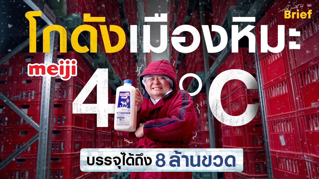 ดูทุกขั้นตอนการผลิตนมพาสเจอร์ไรส์เมจิ เก็บได้มากถึง 8 ล้านขวด | Brief by Kodey