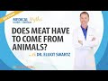 Podcast - Does Meat Have to Come from Animals? with Dr. Elliot Swartz