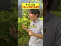 ネイティブが日本人に感動する瞬間