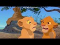 The lion kingnala bath zazu scene