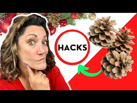 CLEAN PINE CONES AND DECORATE IN 3 EASY STEPS