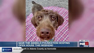 Save the Animals Foundation hosting open house this weekend