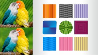 colour effect quick tricks | Learn graphic design | cdtfb | India | Hindi Urdu