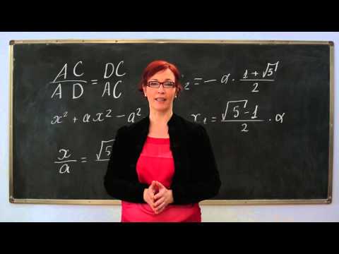 საქართველოს განათლებისა და მეცნიერების სამინისტრო