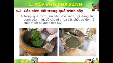 Bài giảng Công nghệ chế biến Trà xanh - Phần 2: Định hình - Sấy Khô - Bảo quản - Đạt MSc