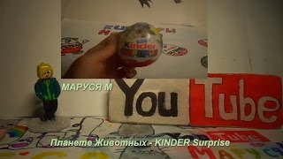 Игрушки Планета Животных - KINDER Surprise animal planets Игрушки Планета Животных - KINDER Surprise animal planets