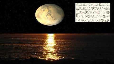 صفحة-239- page سعد الغامدي - -سورة يوسف -Joseph (Yusuf)12