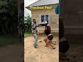 #nostalgia #reggae #dance # #comedy #calmdownchallenge