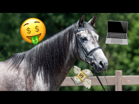 Video: How To Sell A Horse In