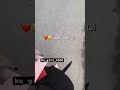 انا لا اعود معتذرة انا اعود