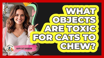 What Objects Are Toxic For Cats To Chew?