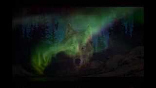 Wolves - Aurora (Hans Zimmer)