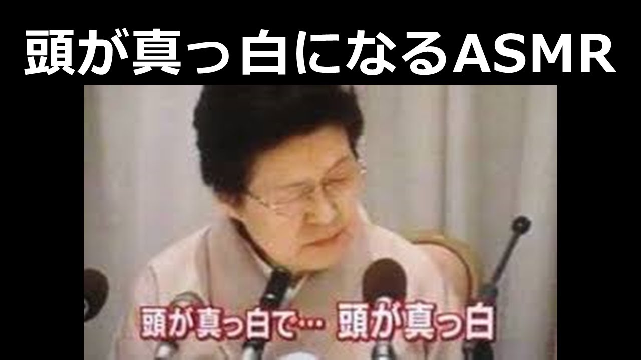 公の場での発言・インタビュー報道記録